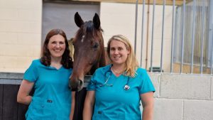 About Us - Directors Carolyn and Hailey of Linkswood Equine Vets