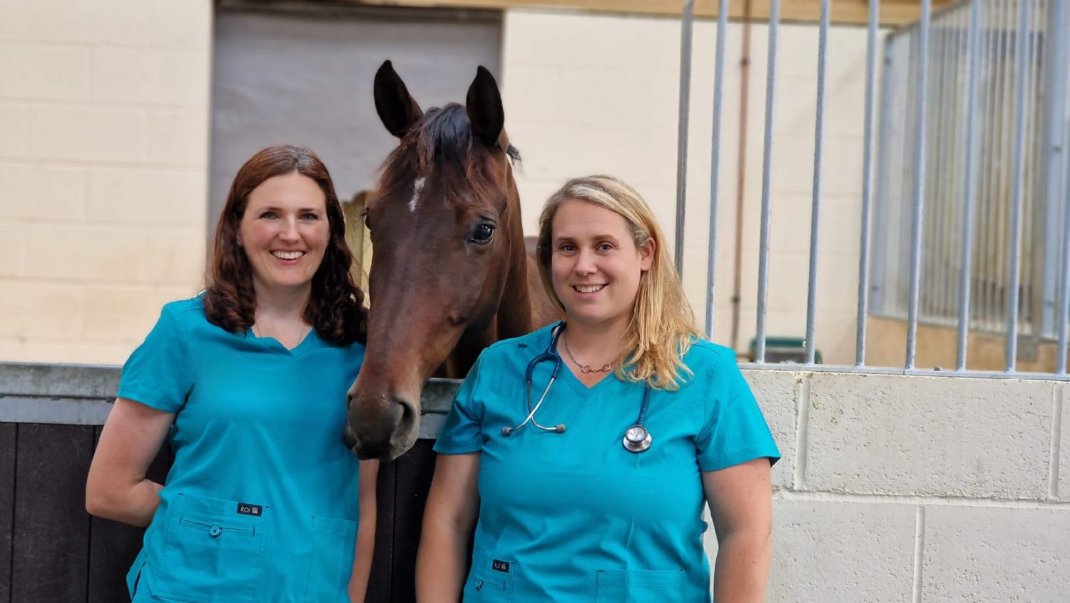 About Us Linkswood Equine Vets